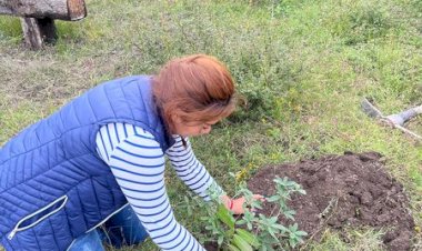 Rocío Castillo Vera alcaldesa potosina encabeza campaña de reforestación