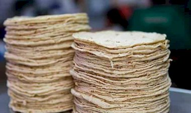 Aumento del precio de la tortilla, síntoma de un modelo económico enfermo