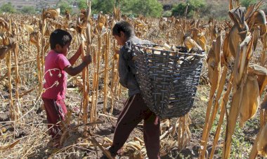 En Guerrero, necesaria una política de soluciones