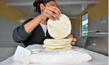 El verdadero propósito del arancel al maíz blanco