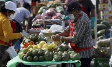 La FAO y la crisis alimentaria