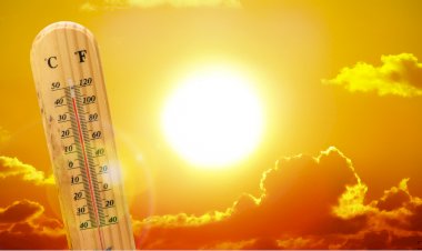 La ola de calor y los apagones de luz