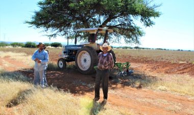 Falta de humedad y apoyos ponen en riesgo producción de frijol en Zacatecas