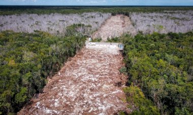 Ecocidio en Quintana Roo