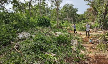 Perseverancia en el trabajo colectivo es una causa del progreso en colonia Antorchista de Tulum