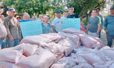 Benefician a 100 agricultores con semilla de sorgo