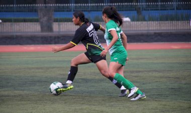 Los deportistas universitarios de alto rendimiento y la calidad académica