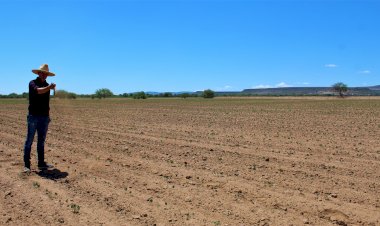 La sequía e indiferencia de AMLO acaban al campo zacatecano