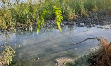 Fugas de agua potable, una constante en Matamoros