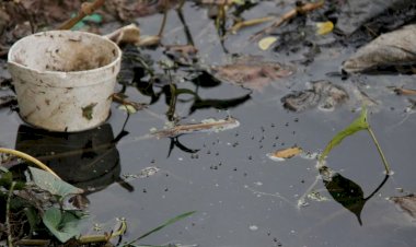 Dengue prolifera por pobreza y gobiernos irresponsables: Antorcha