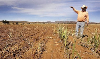 Grave crisis se avecina para el campo sinaloense