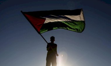 Solidaridad con Palestina