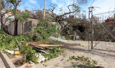 Capitalismo y crisis ambiental