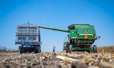 Agricultores de Sinaloa, en severa crisis