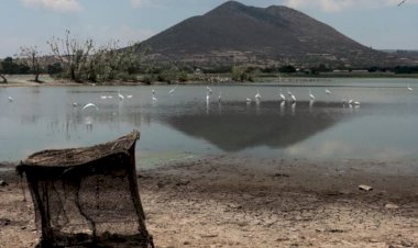 Sequía extrema: es tiempo de atender el problema