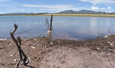 Productores piden apoyo a MAN para salvar ciclo agrícola 2024