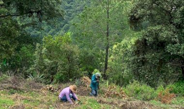 Campesinos de la Sierra Sur de Oaxaca, abandonados ante inflación