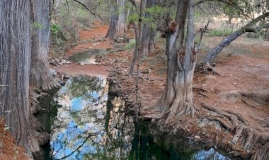 Urgen miahuatecos atención a río La Palastra