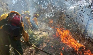 Exige Antorcha atención a los incendios en Cosautlan-Ixhuacan de los Reyes, Veracruz