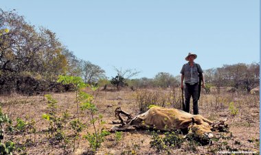 La 4T, un desastre para México