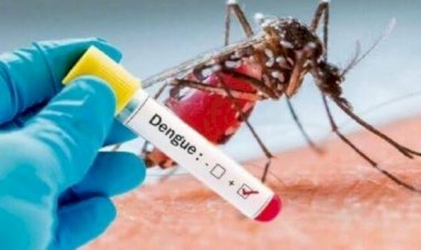 Dengue, preocupación de los yucatecos