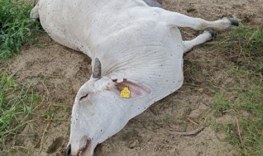 En Nacajuca y alrededores, la muerte tiene permiso