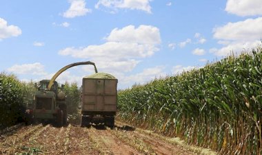 Piden productores de Chihuahua la implementación de seguro catastrófico