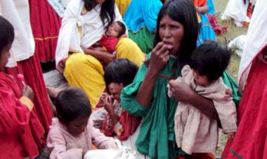 Crisis alimentaria afecta a niños de la Sierra Tarahumara