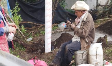 Delincuentes invaden lotes de la colonia Luis Córdova de Huatusco, Veracruz