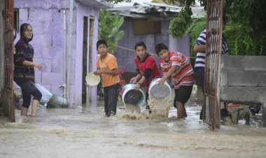 Mexicanos, solos ante los desastres naturales