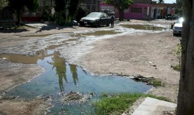 Ante el dengue, nadie hace nada