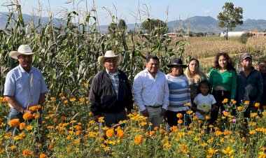 ENTREVISTA | La flor de cempasúchil en Villa del Carbón