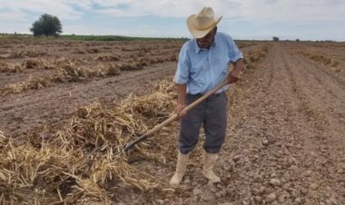 No acaban los problemas para el campo