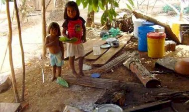 Desnutrición, problema que más afecta a infancia en Quintana Roo